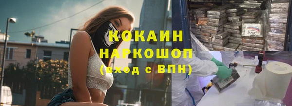 прущие грибы Балабаново