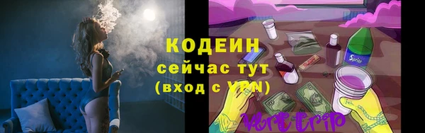 прущие грибы Балабаново