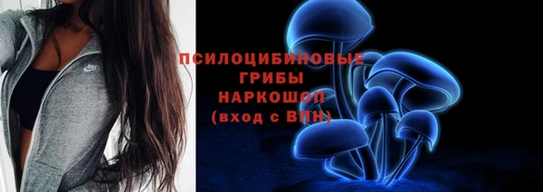 прущие грибы Балабаново