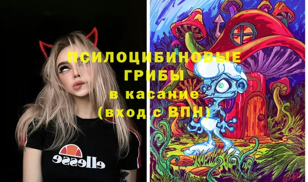 прущие грибы Балабаново