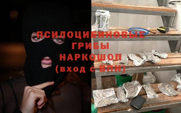 прущие грибы Балабаново