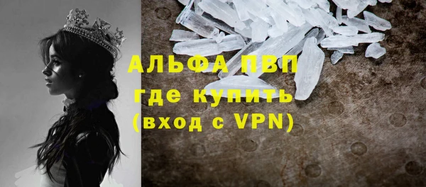 прущие грибы Балабаново