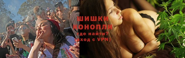 прущие грибы Балабаново